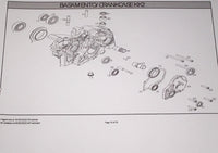 13. Modena KK2 125ccm Ölablaßschraube Magnetisch