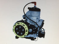 Kart Motor TM KZ-R1 Black Power spezial 125ccm