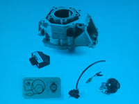 50. Rotax Junior Max Upgrade Kit auf Senior Max EVO