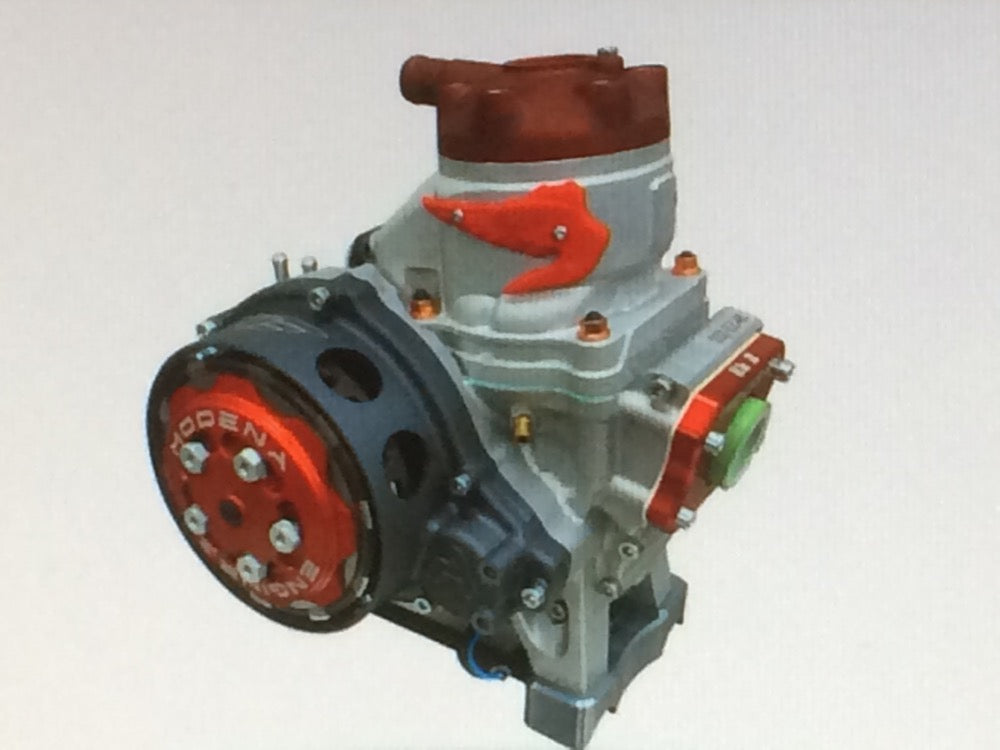 Modena Kart Motor KK2 Racing Edition Preparator Rosso 125ccm KZ 2022