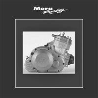 Pavesi LAM 25th Evolution 2 SPEZIAL - 125ccm - komplett revidiert