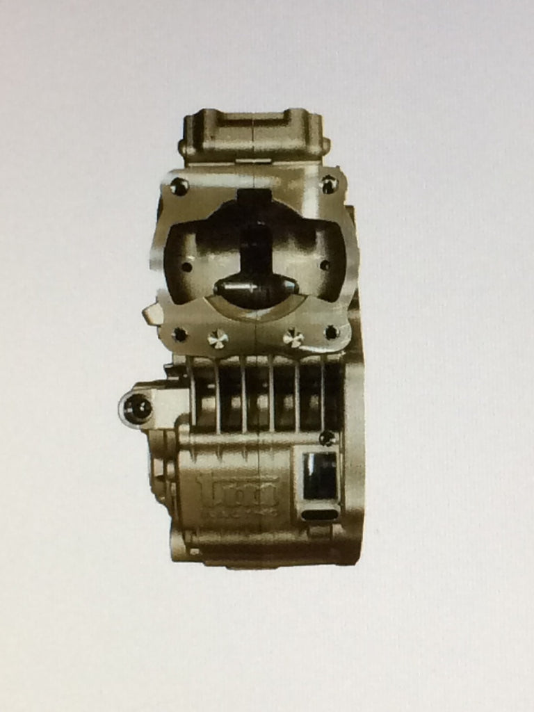 44. Kart TM Motorgehäuse 125ccm KZ