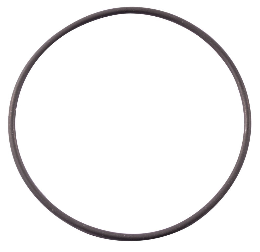 40. Pavesi Motor O-Ring Groß Zylinder