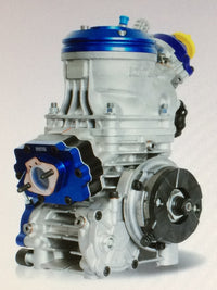 IAME Reedster 5 OK 125ccm incl. Motorbock & Auspuffanlage