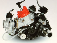 Rotax Max 125ccm Max-DD2 Evo