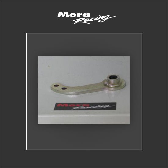 49. Pavesi Motor Schalthebel