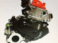 Rotax Max 125ccm Rumpfmotor Max-DD2 Evo  (ohne Zubehör)