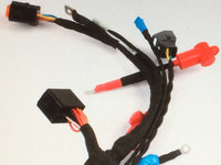 Rotax Max 125ccm Kabelbaum 2021