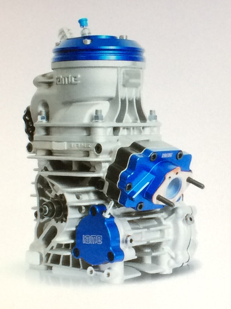 IAME Reedster 5 OK-J 125ccm incl. Motorbock & Auspuffanlage