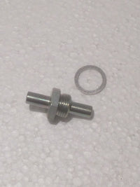 55. Pavesi Motor Öleinfüllschraube mit Dichtring