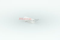 24.Dellorto Vergaser Benzinfilter