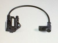 12. Rotax Max 125ccm Zündspule