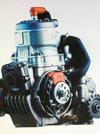 Kart Motor TM KZ-R2 125ccm KZ