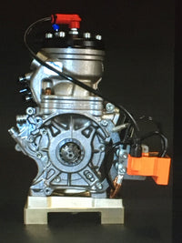 Modena Kart Motor OK N 125ccm