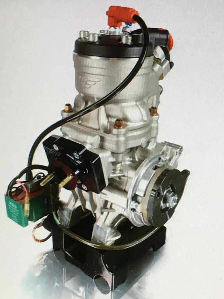 Modena Kart Motor OK Senior 125ccm