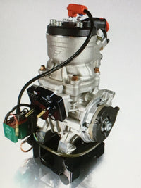 Modena Kart Motor OK Senior 125ccm