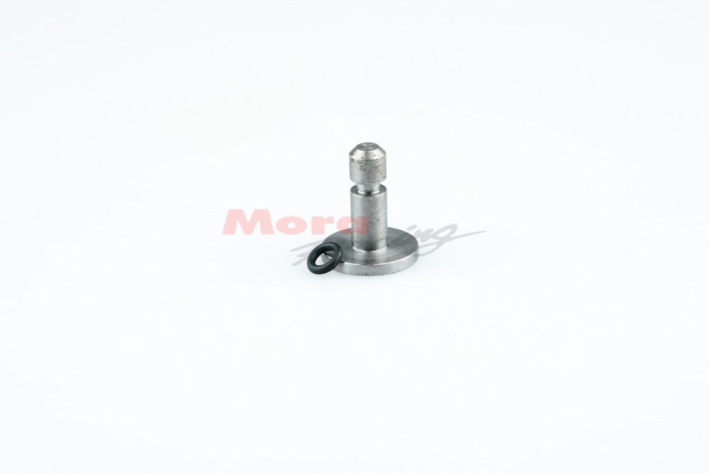 17. Pavesi Motor Druckbolzen Kupplung